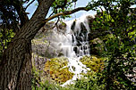 2TreeFramedRitterFalls